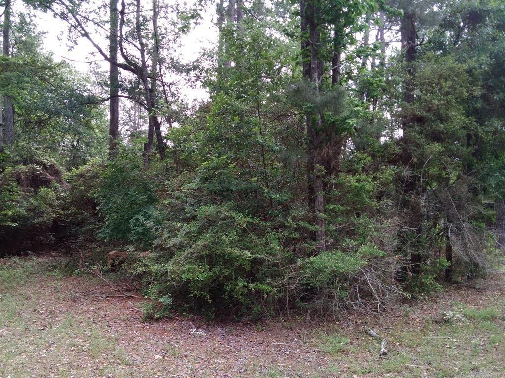 Lot 26 Elk Street, Onalaska, Texas image 23