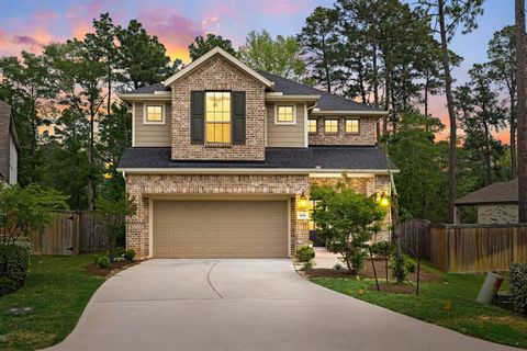 606 Pecan Hickory Court Willis TX 77318