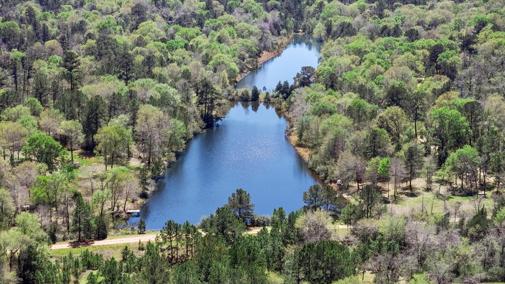 26364 Deerwood Drive, Hempstead, Texas image 16