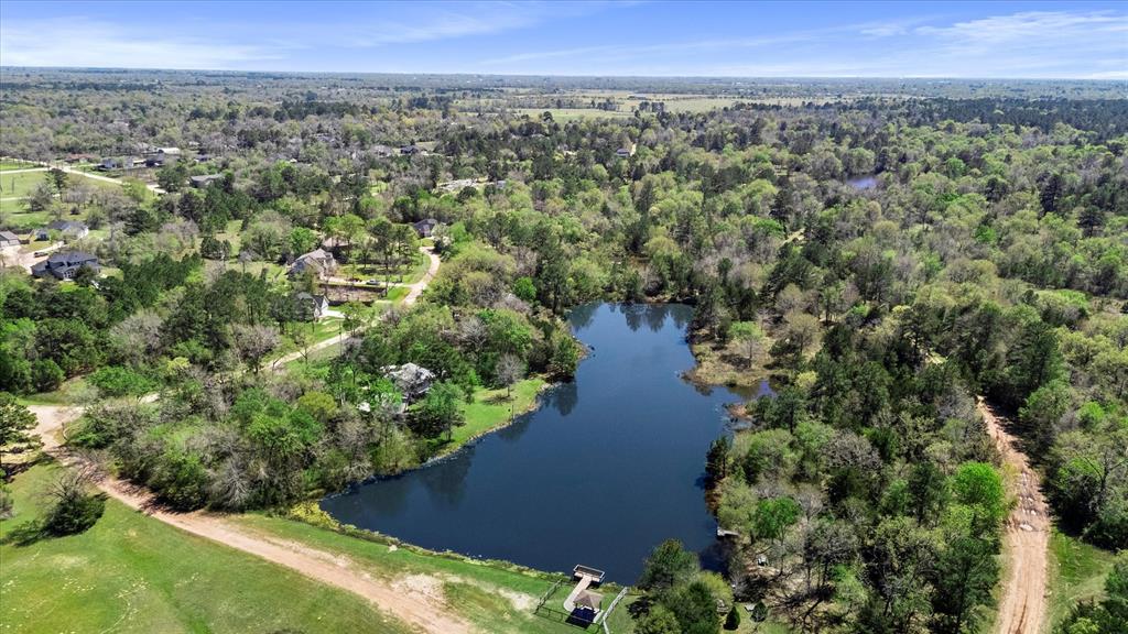 26364 Deerwood Drive, Hempstead, Texas image 17