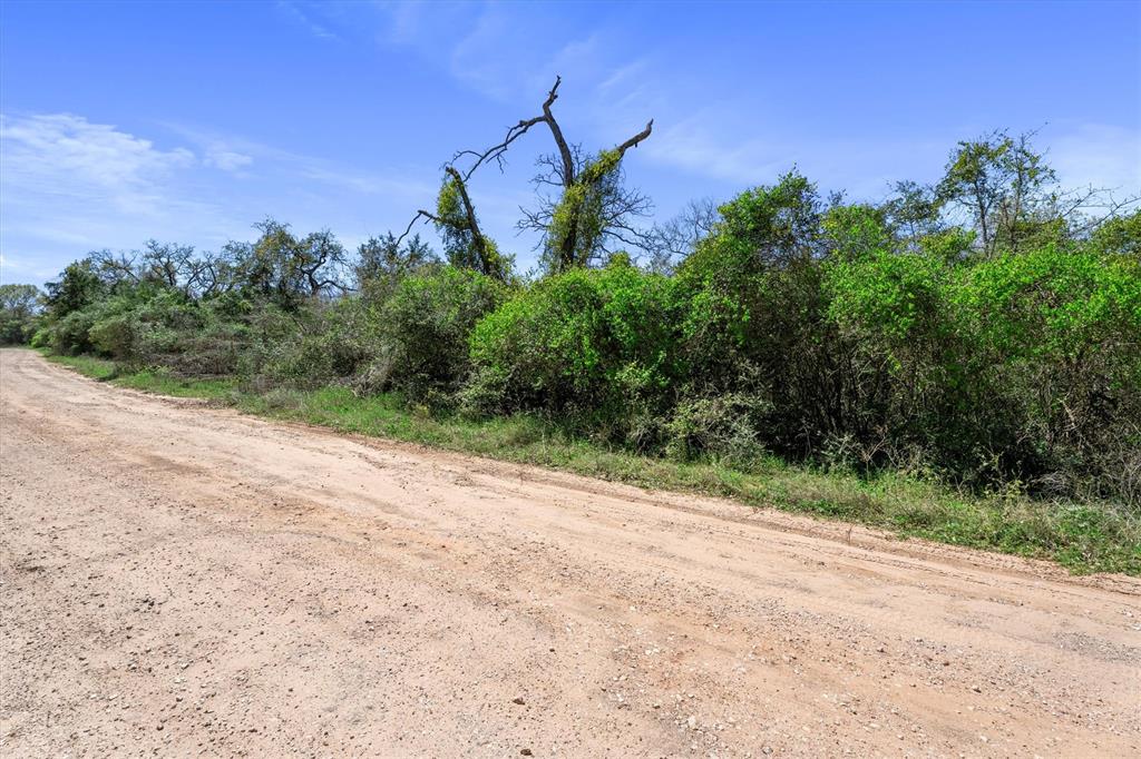 26364 Deerwood Drive, Hempstead, Texas image 4