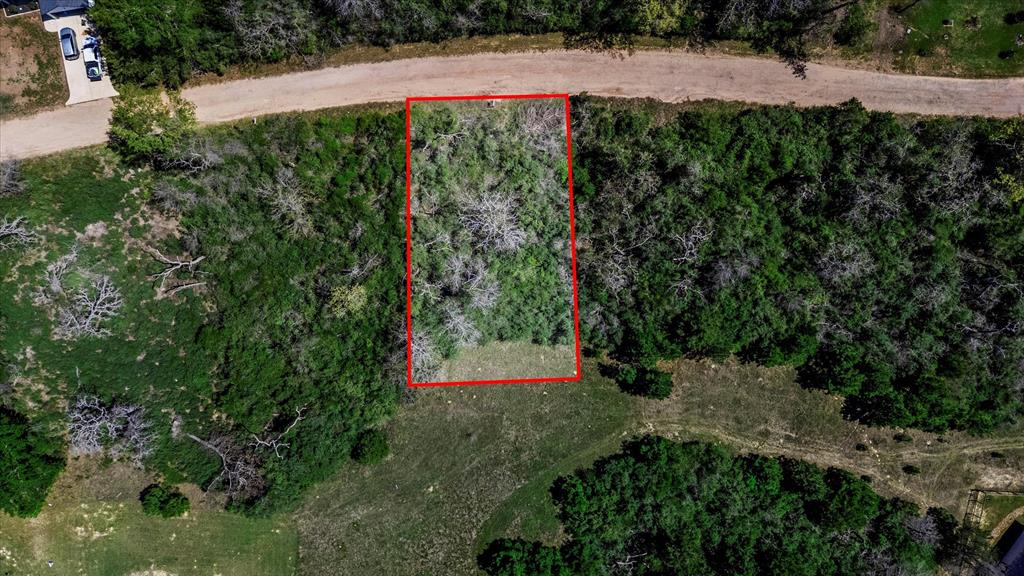 26364 Deerwood Drive, Hempstead, Texas image 12