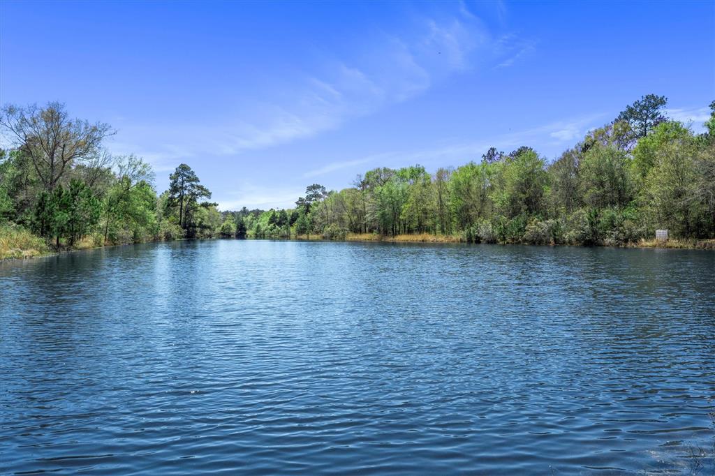 26364 Deerwood Drive, Hempstead, Texas image 13