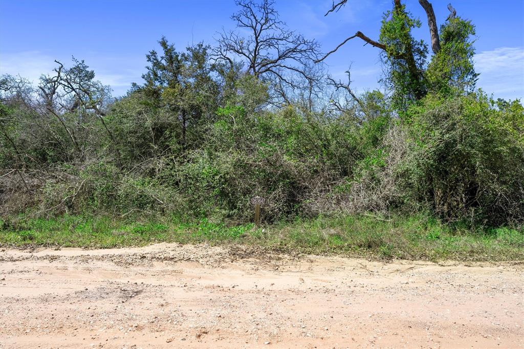 26364 Deerwood Drive, Hempstead, Texas image 3