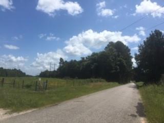 0000 Fm 2914 Aka Springtown Road, Shepherd, Texas image 8