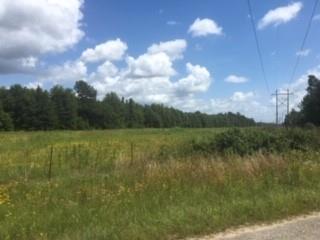 0000 Fm 2914 Aka Springtown Road, Shepherd, Texas image 3