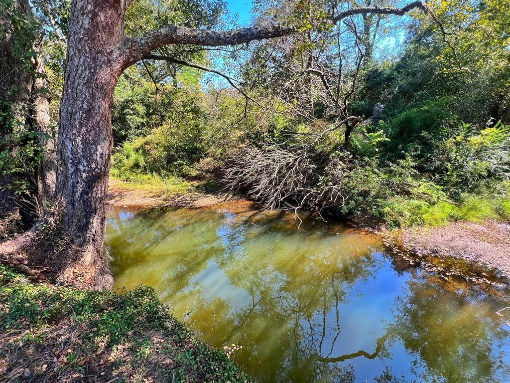 6634 Cr 143, Leona, Texas image 34