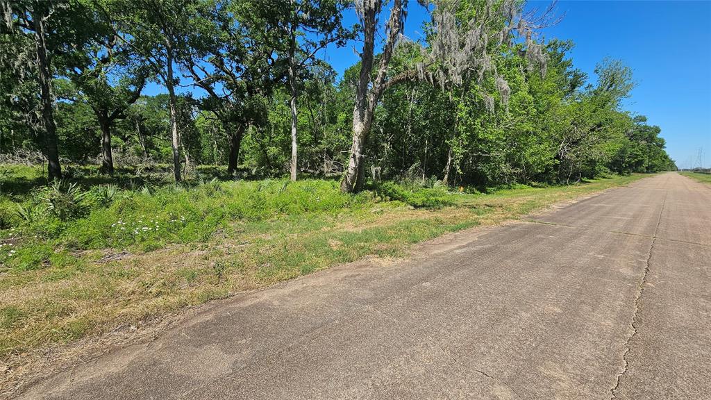 248 Middle Bayou Trail, Angleton, Texas image 3