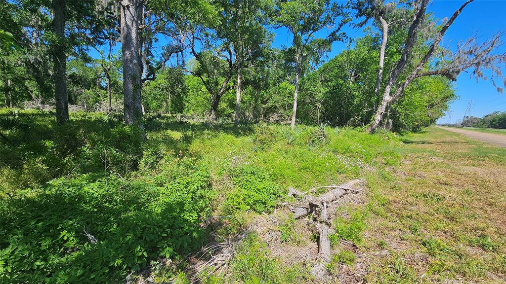 248 Middle Bayou Trail, Angleton, Texas image 11