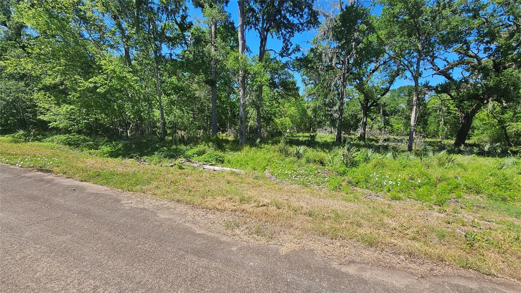248 Middle Bayou Trail, Angleton, Texas image 4