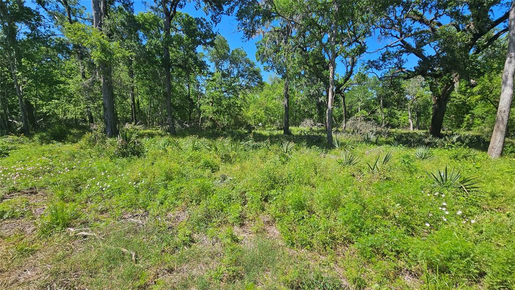 248 Middle Bayou Trail, Angleton, Texas image 8