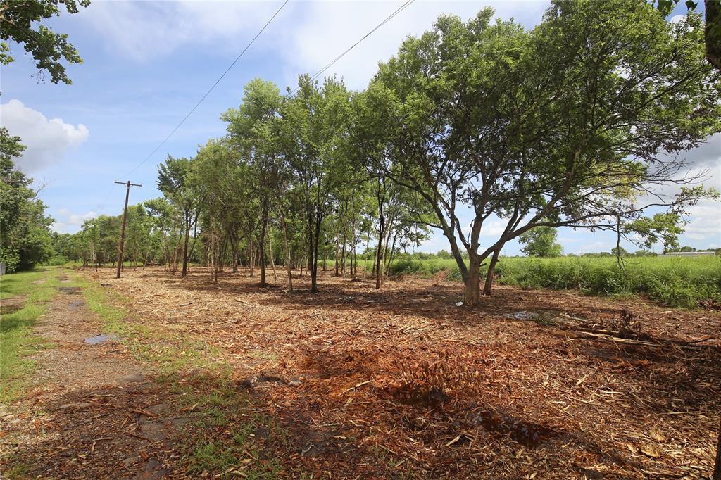 3720 County Road 144, Alvin, Texas image 7