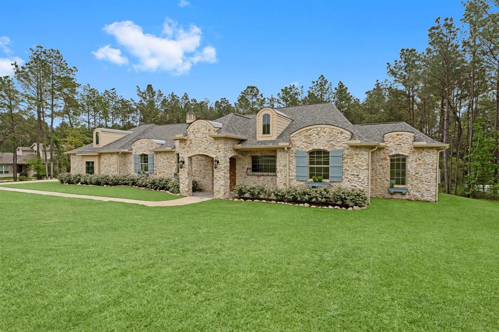 7382 Magnolia Hollow Drive, Montgomery, Texas image 2