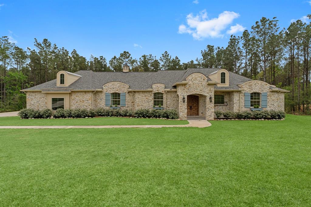 7382 Magnolia Hollow Drive, Montgomery, Texas image 1