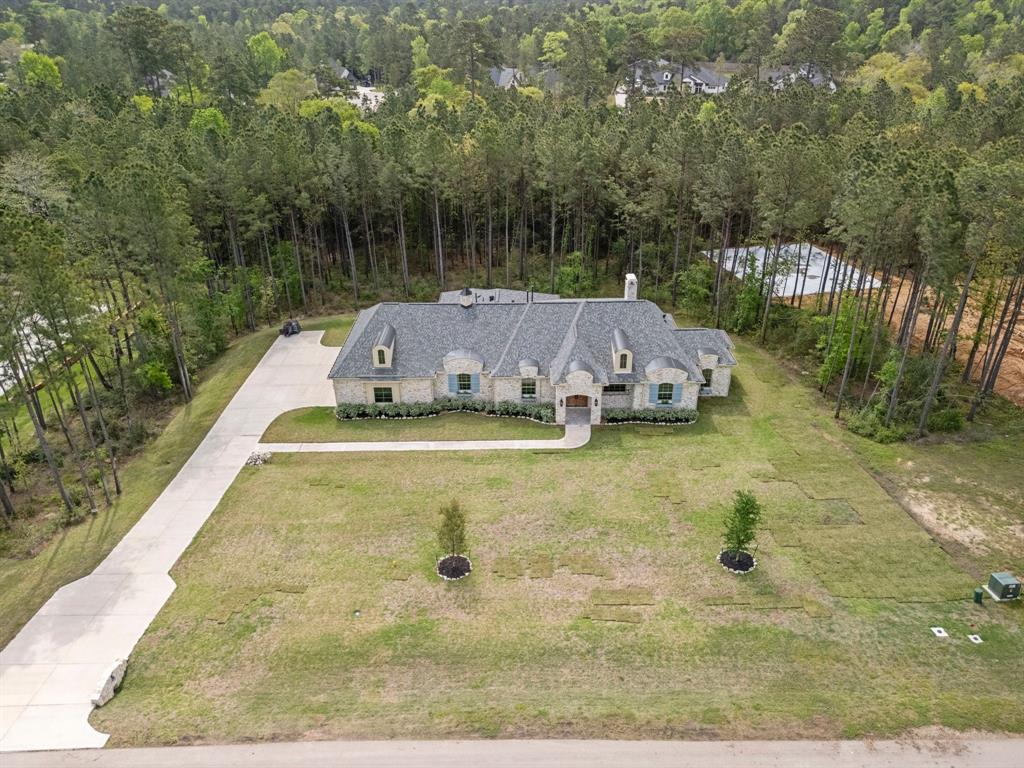 7382 Magnolia Hollow Drive, Montgomery, Texas image 32