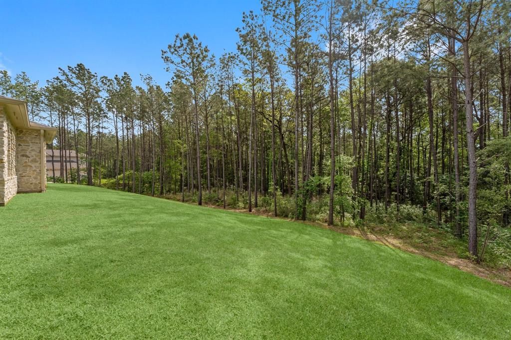 7382 Magnolia Hollow Drive, Montgomery, Texas image 33
