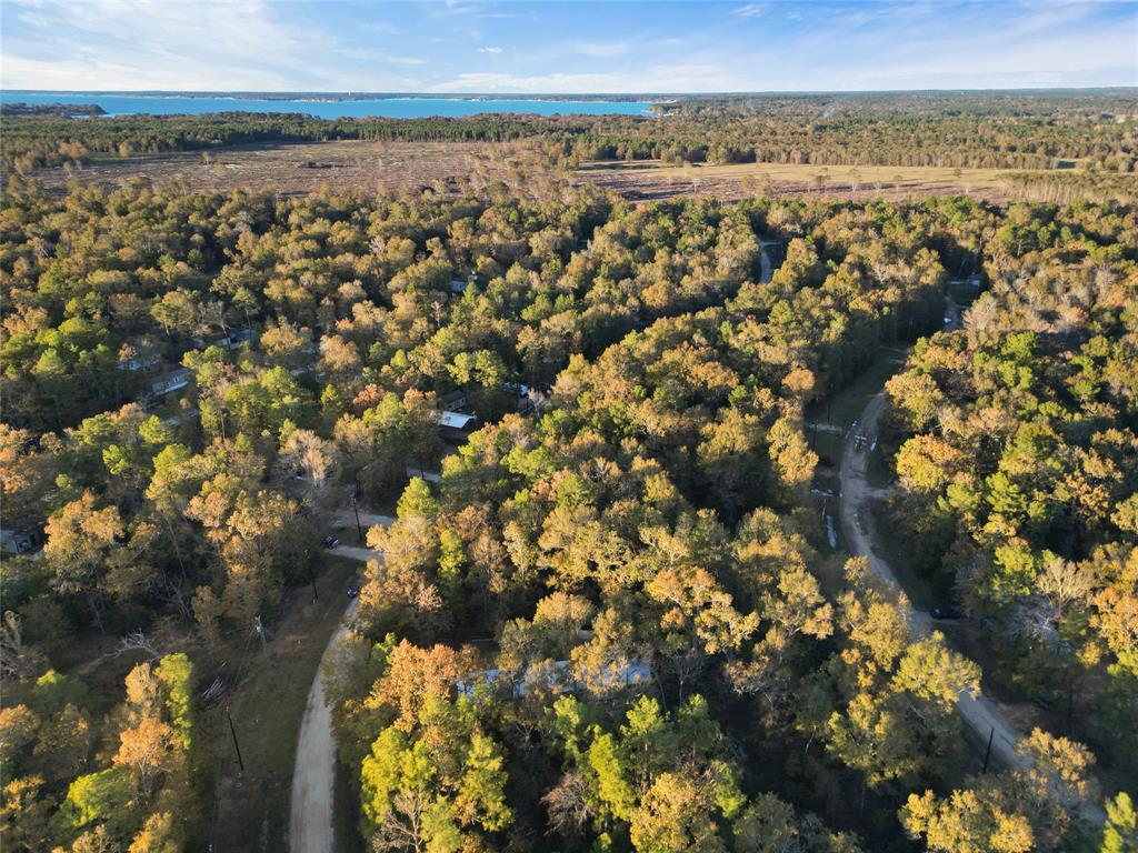 00 Moonlite Drive, Livingston, Texas image 8