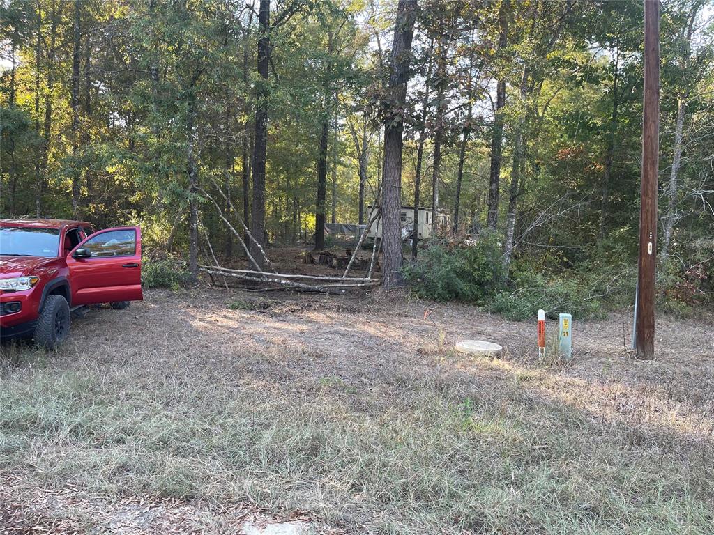 293 Ramblewood, Livingston, Texas image 3