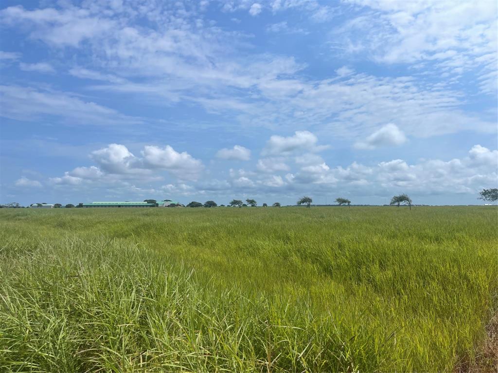 Lot 180 DRIFTWOOD SHORES