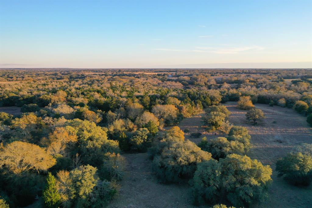 1916 201, Weimar, Texas image 17