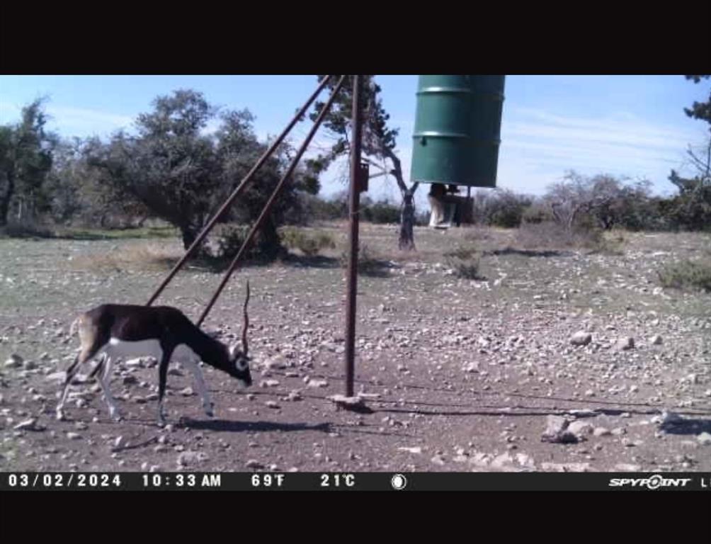 220 Rattlesnake Road, Junction, Texas image 17