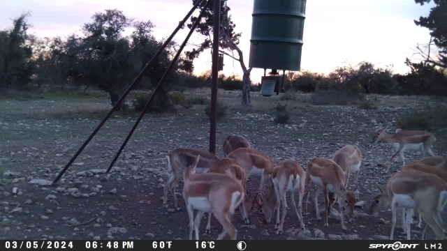 220 Rattlesnake Road, Junction, Texas image 18