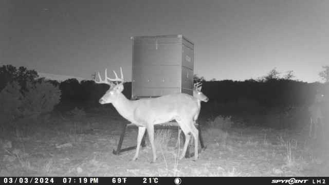 220 Rattlesnake Road, Junction, Texas image 44