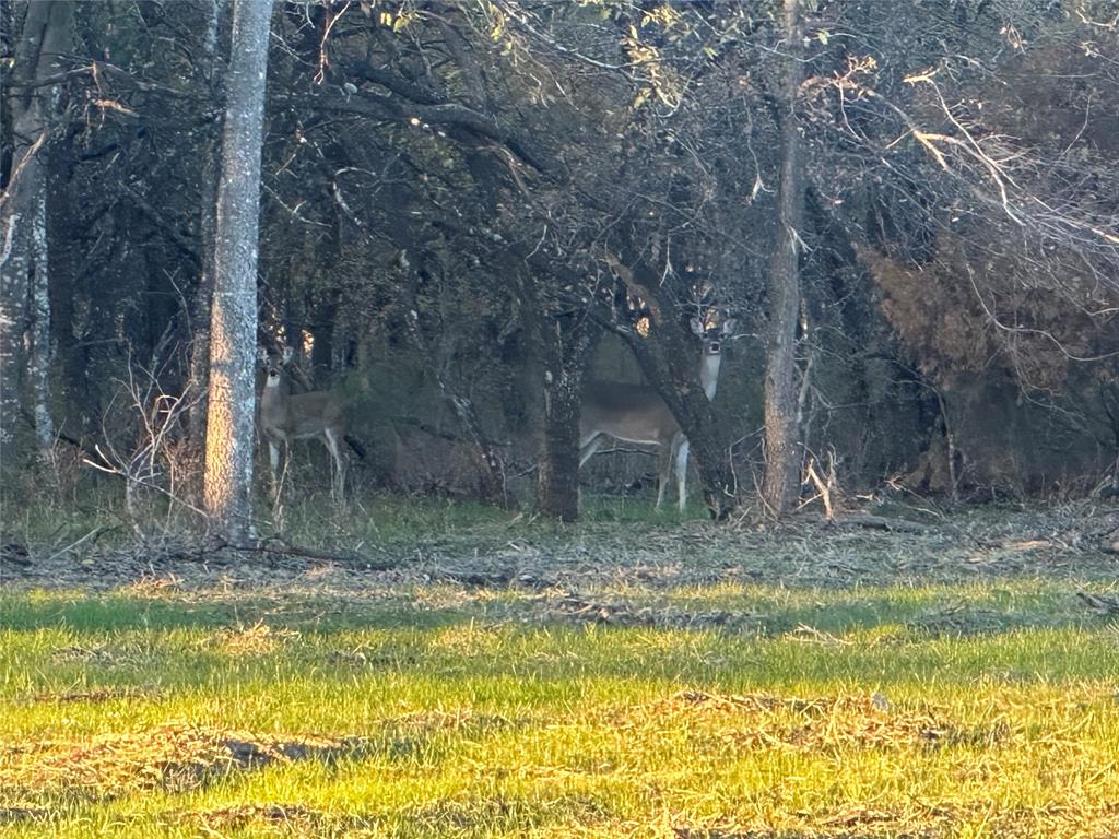 Lot 28 Grison Circle, Corsicana, Texas image 3