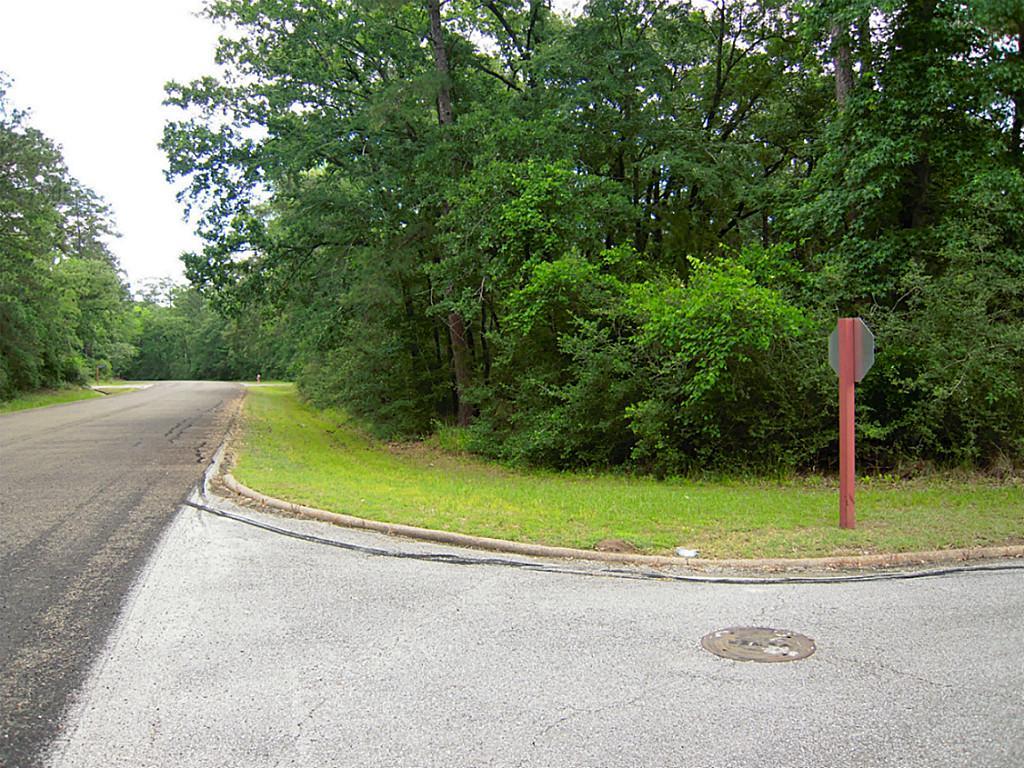 28600/28604 Fir Court, Huntsville, Texas image 2