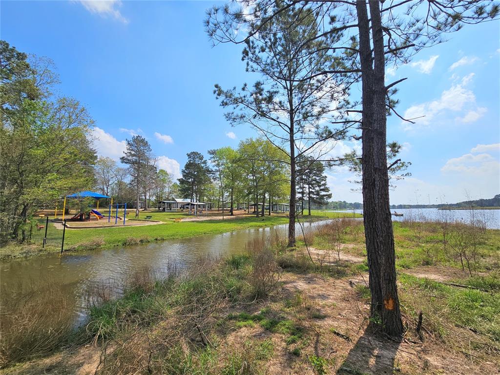 19360 Cabango Drive, Porter, Texas image 5