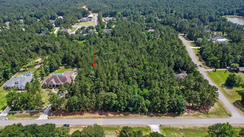8990 Grand Lake Estates Drive Dr, Montgomery, Texas image 1