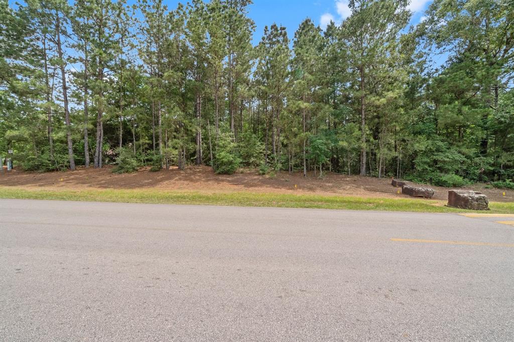 8990 Grand Lake Estates Drive Dr, Montgomery, Texas image 6