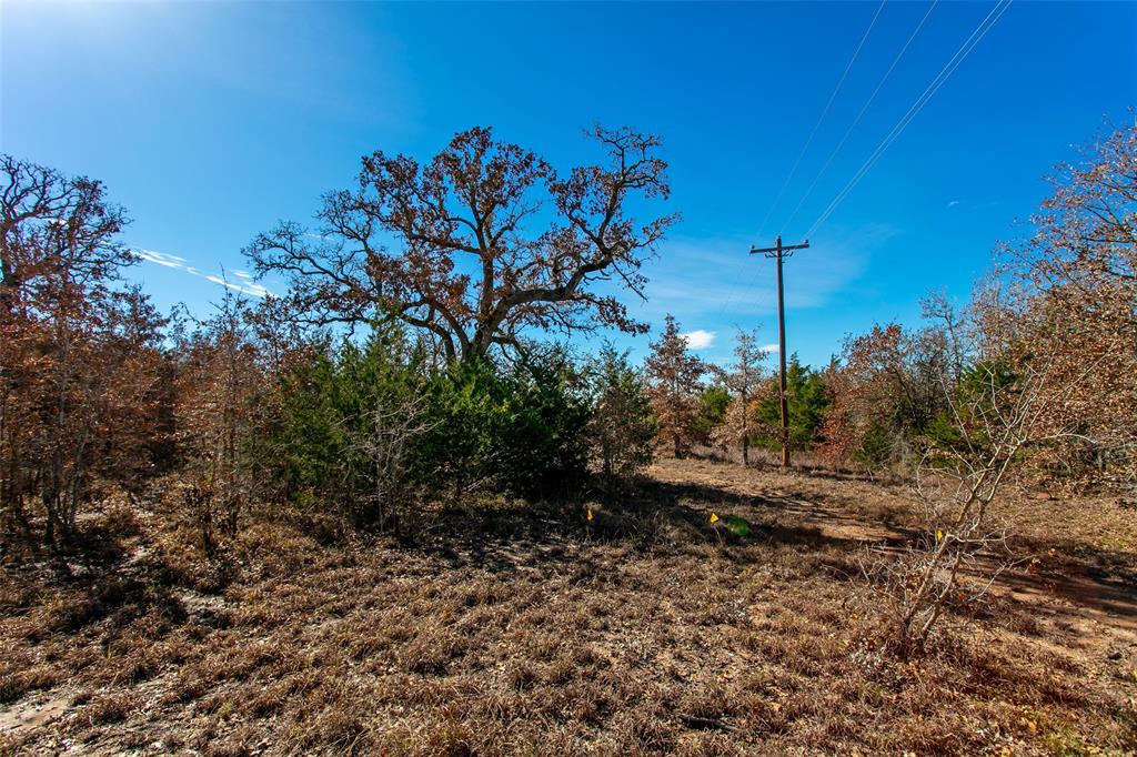 5988 Fm 180, Ledbetter, Texas image 14