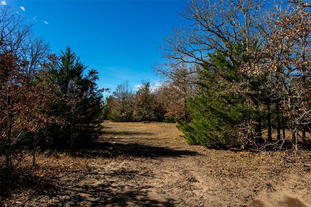5988 Fm 180, Ledbetter, Texas image 11