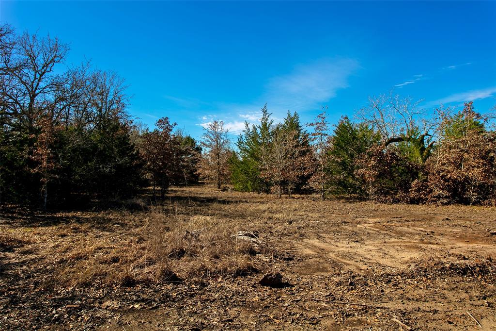5988 Fm 180, Ledbetter, Texas image 13