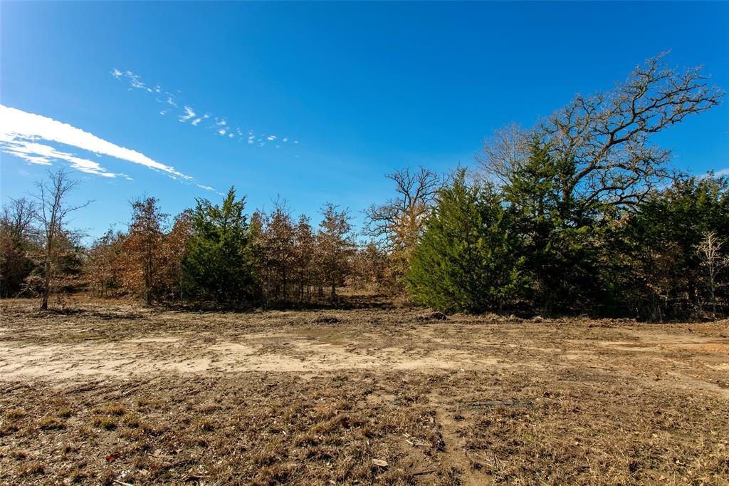 5988 Fm 180, Ledbetter, Texas image 6