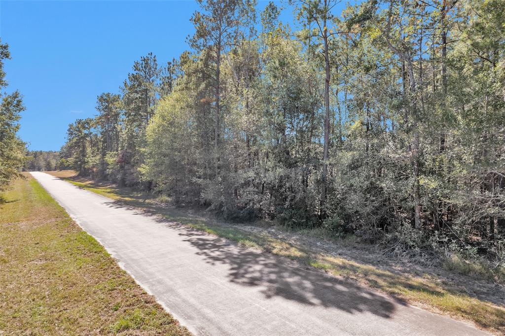 TBD Big Buck Drive