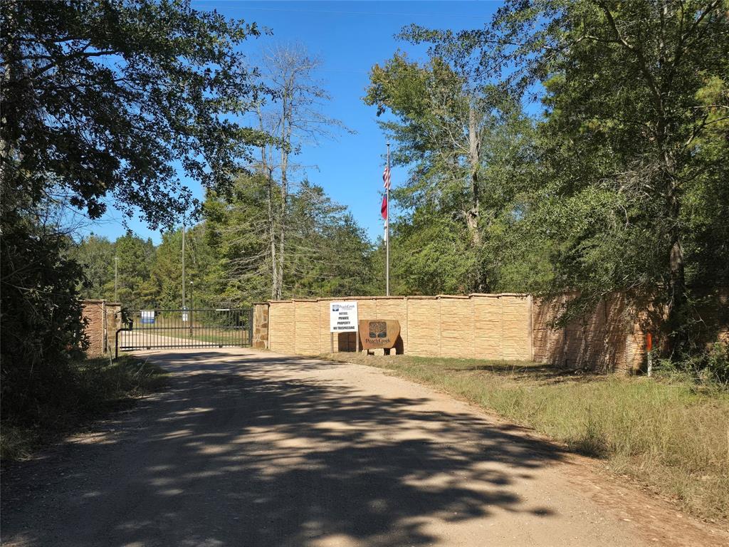TBD Big Buck Drive
