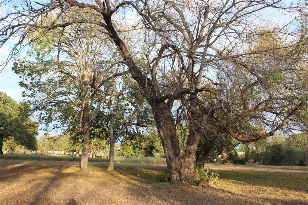 0000 1st Street, Somerville, Texas image 14