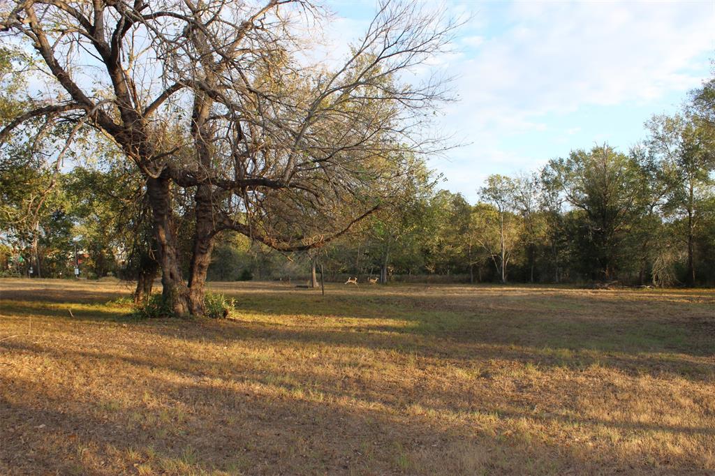 0000 1st Street, Somerville, Texas image 8