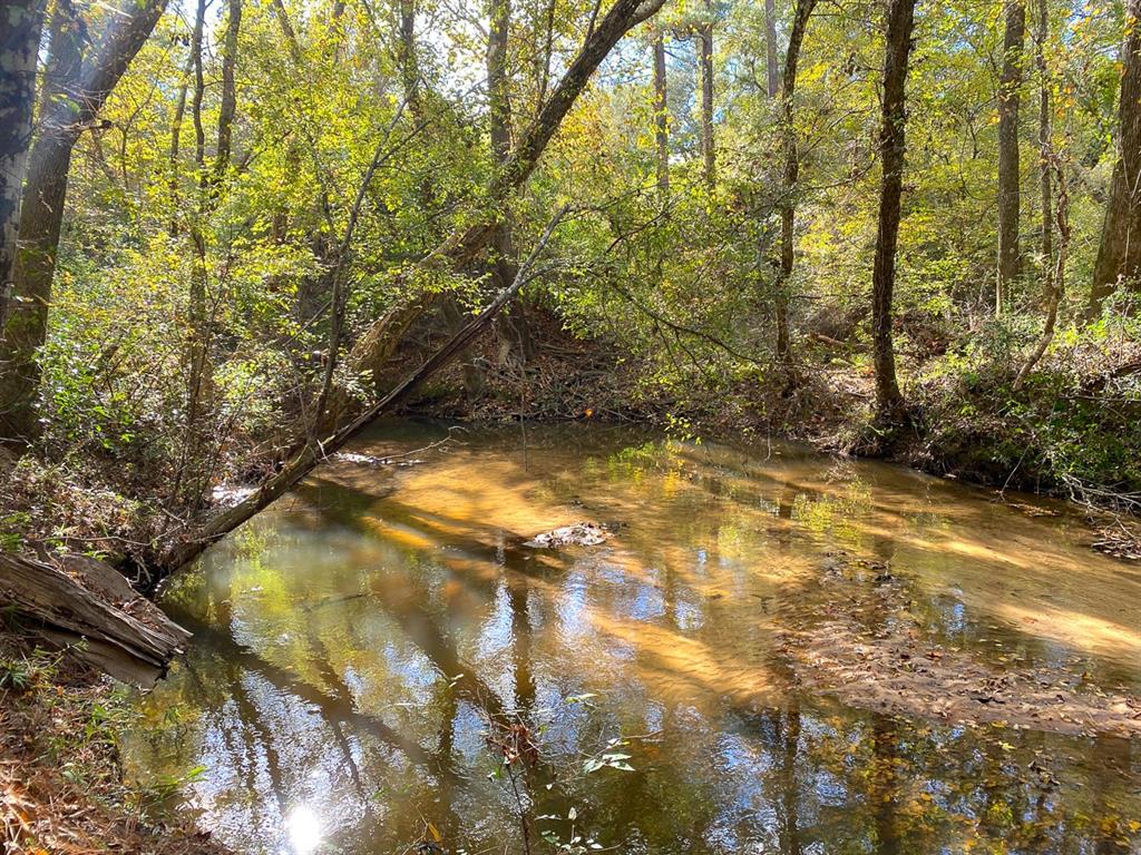 S1L3 Lake Pool Rd, Shepherd, Texas image 6