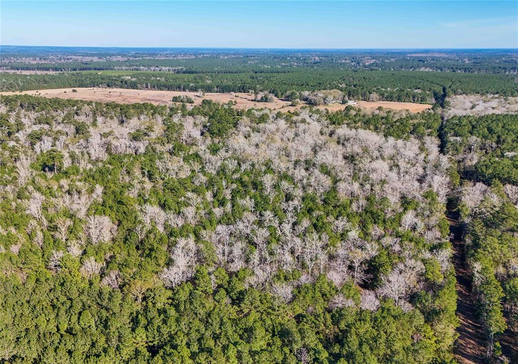 TBD Cr 2777, Woodville, Texas image 34