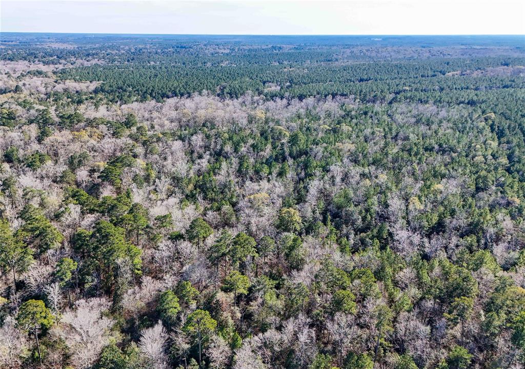 TBD Cr 2777, Woodville, Texas image 23