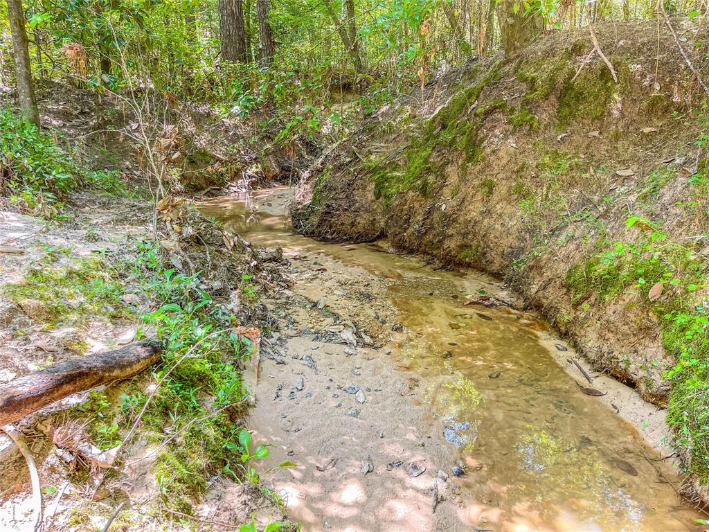 TBD Cr 2777, Woodville, Texas image 6