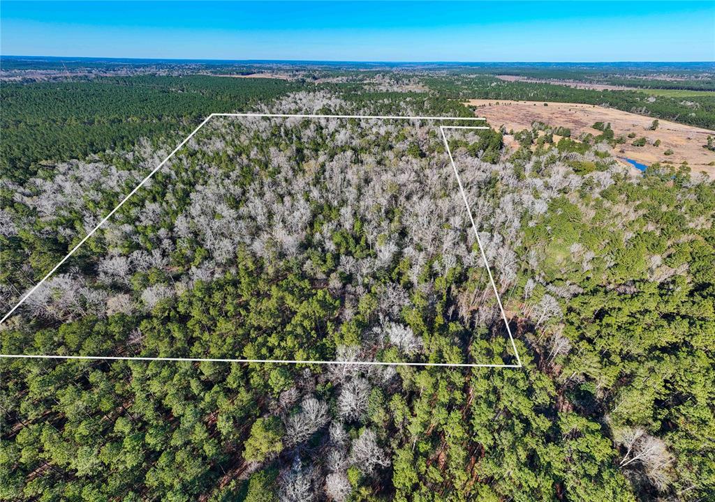 TBD Cr 2777, Woodville, Texas image 1