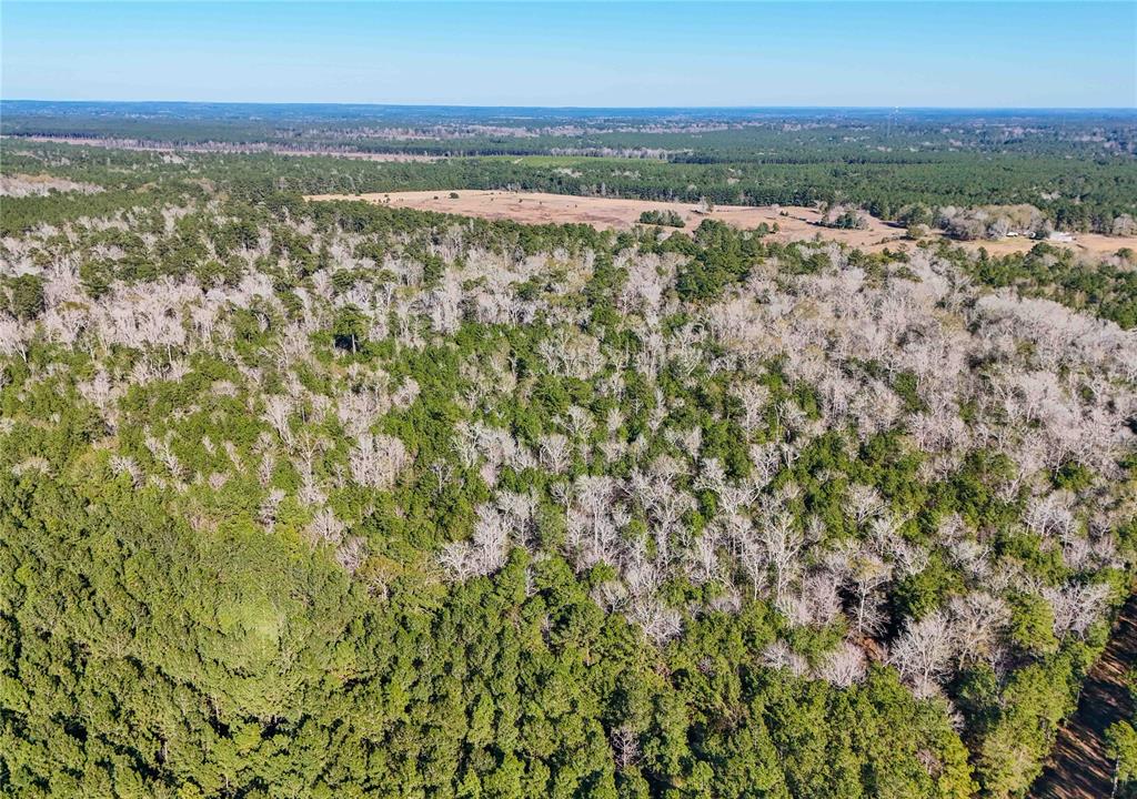 TBD Cr 2777, Woodville, Texas image 35