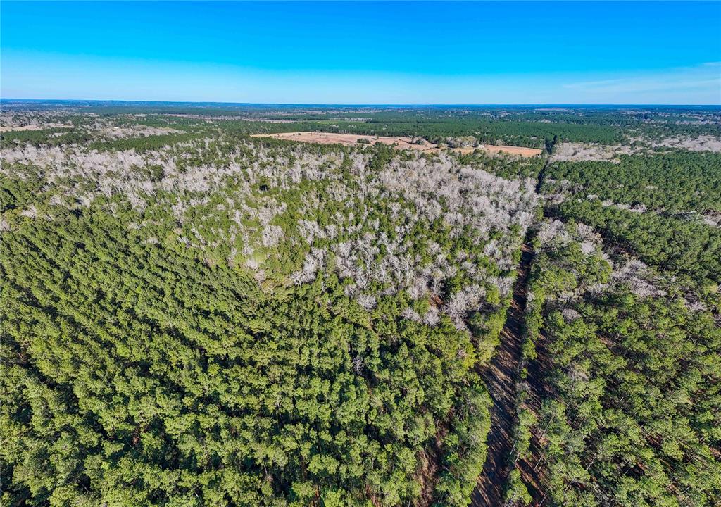 TBD Cr 2777, Woodville, Texas image 36