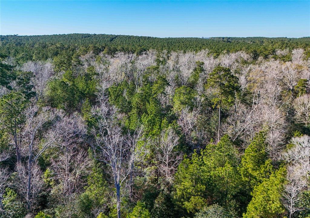 TBD Cr 2777, Woodville, Texas image 28