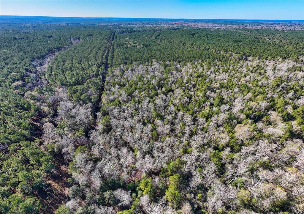 TBD Cr 2777, Woodville, Texas image 31