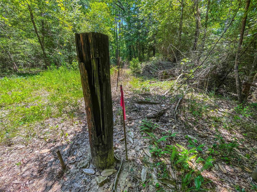 TBD Cr 2777, Woodville, Texas image 15